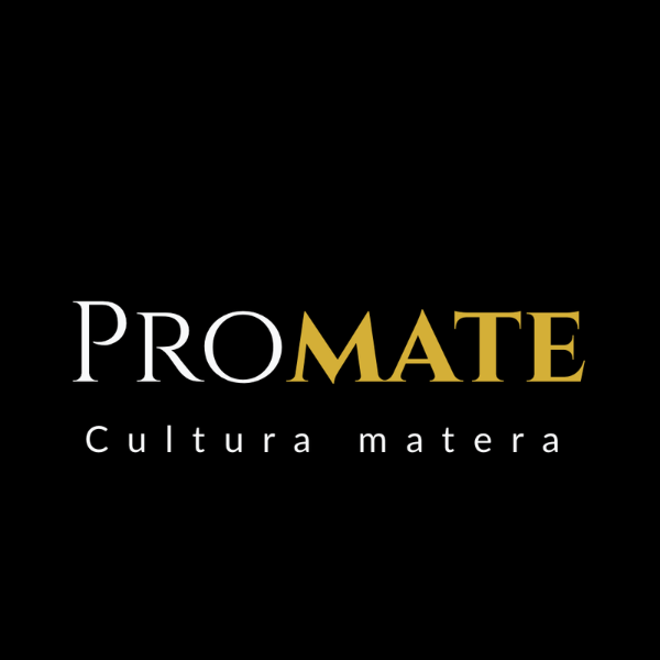  Promate