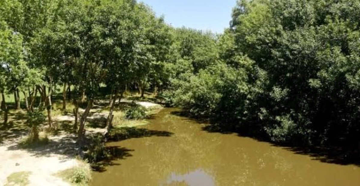Vecinos de Correas denuncian que se reactivaron los loteos ilegales cerca del arroyo